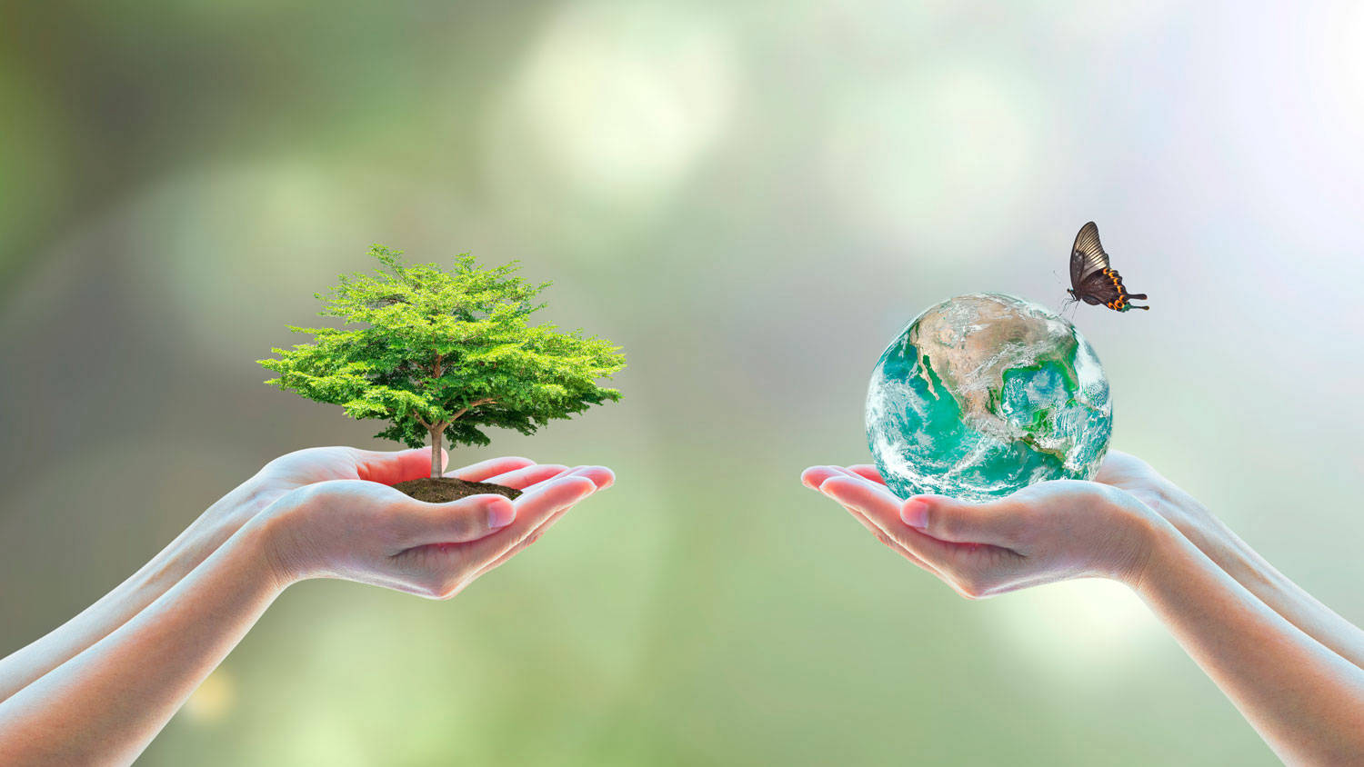 IATAMA - Tratamiento de Aguas Residuales y Gestión Ambiental en Mérida